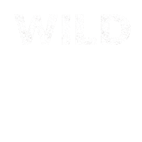 AAT_Kings travel australia branding wild Sticker