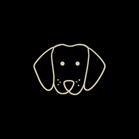 itscahrispetservices dog puppy pet doggo GIF