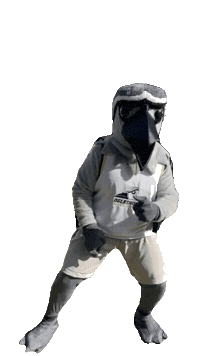 Petrels Ogle Sticker by Oglethorpe University
