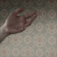 GIF by Cappa Video Productions