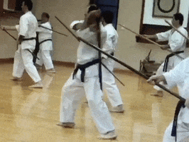 matsubayashi karate okinawa kobudo zazen GIF