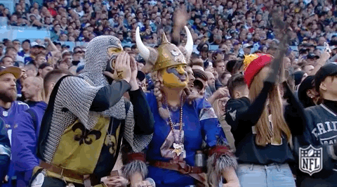 Minnesota Vikings Football GIF by NFL