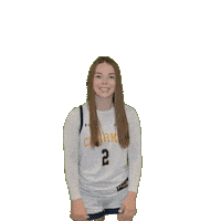 Clarke Athletics Sticker by Clarke University