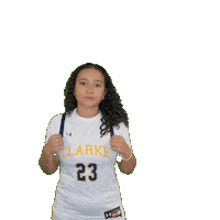 Clarke Athletics Sticker by Clarke University