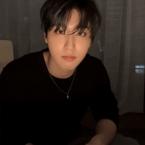 StayforChahn giphyupload skz straykids han GIF