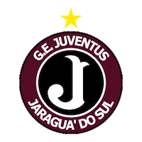 gejuventusjaraguadosul juventus juve jaraguadosul molequetravesso Sticker