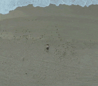 portofcall GIF by Decker