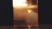 egg GIF by Diply