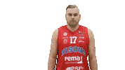 Sport Basketball Sticker by Basket_fi