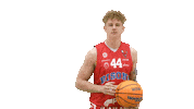 Basketball Hoops Sticker by Basket_fi