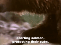 season 1 GIF