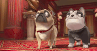 the nut job 2 GIF by The Nut Job 2: Nutty By Nature