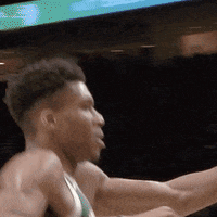 Basketball Nba GIF by Milwaukee Bucks