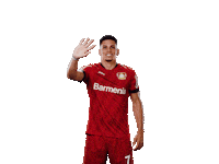 Bayer 04 Hello Sticker by Bayer 04 Leverkusen