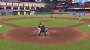 Sport Baseball GIF by MLB