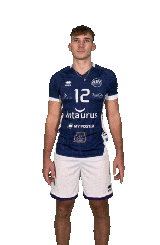 Volleyball Link Sticker by ASV Dachau