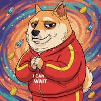 Shiba Inu Waiting GIF by Doge Pound