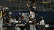 Excited Major League Baseball GIF by MLB