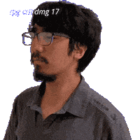 17 Damage Sticker