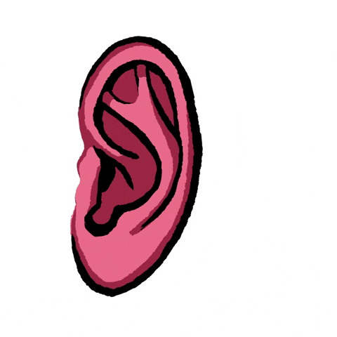 JellaSlick giphyupload GIF