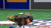 Animal Planet GIF by Puppy Bowl