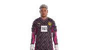Football Sport Sticker by Borussia Dortmund