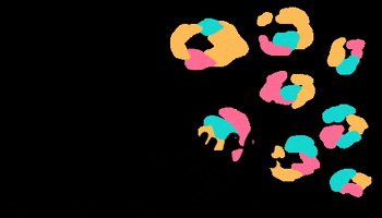 offbeatweb instagram animal fierce leopard GIF