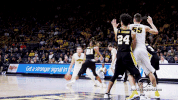 GIF by University of Iowa Hawkeyes Athletics