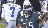 Philadelphia Eagles Football GIF by NFL