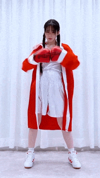 K Pop Fight GIF