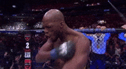 Mixed Martial Arts Sport GIF by UFC