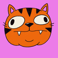 Excited Cat GIF