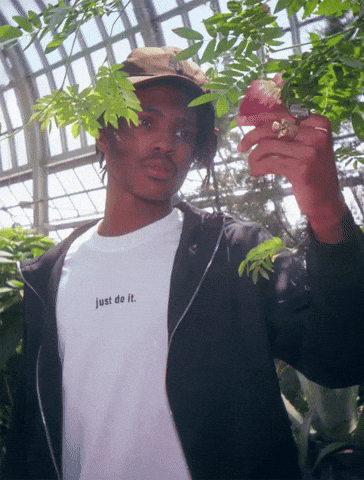 art chicago nike just do it 10photos GIF