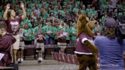 boomer bear GIF by Missouri State University
