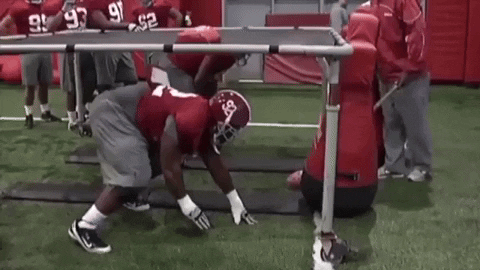 craigroh giphyupload GIF