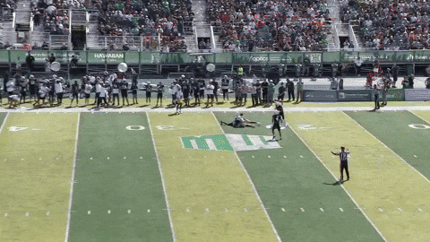 osgoodck giphyupload GIF