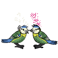 Lovebird Love Sticker