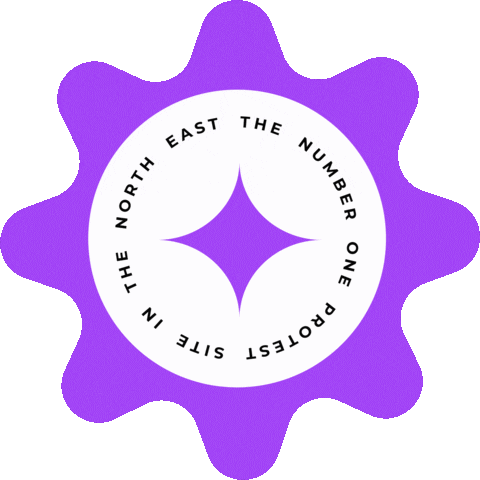 Thenortherngraphics giphyupload echo echoprotesting Sticker