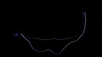 digital art flash GIF by VIRTUTE