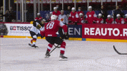 GIF by International Ice Hockey Federation