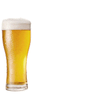CervezaBohemia cerveza pilsner bohemia maridaje Sticker