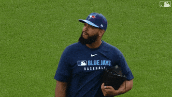 Blue Jays Smile GIF by Toronto Blue Jays