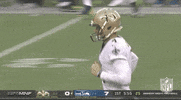 New Orleans Saints Football GIF by NFL