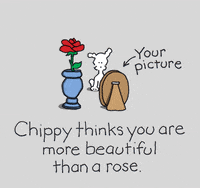 I Love You Rose GIF by Chippy the Dog