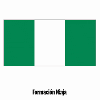 Flag Bandera GIF by Formación Ninja