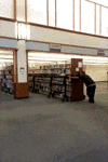 Books Library GIF