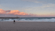 Deerfield Beach Florida GIF by CGTraveler - Carlos Garrido - Adventrgram