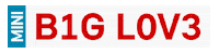 Big Love Sticker by MINI