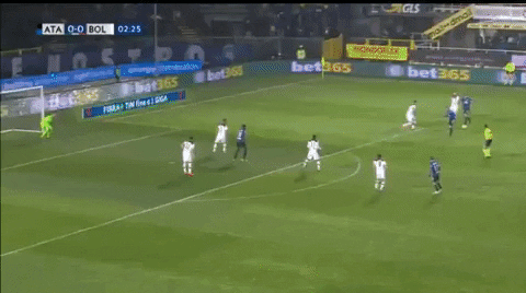 ilicic GIF by nss sports