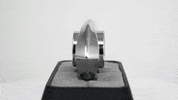Fidget GIF by Big Poppa E